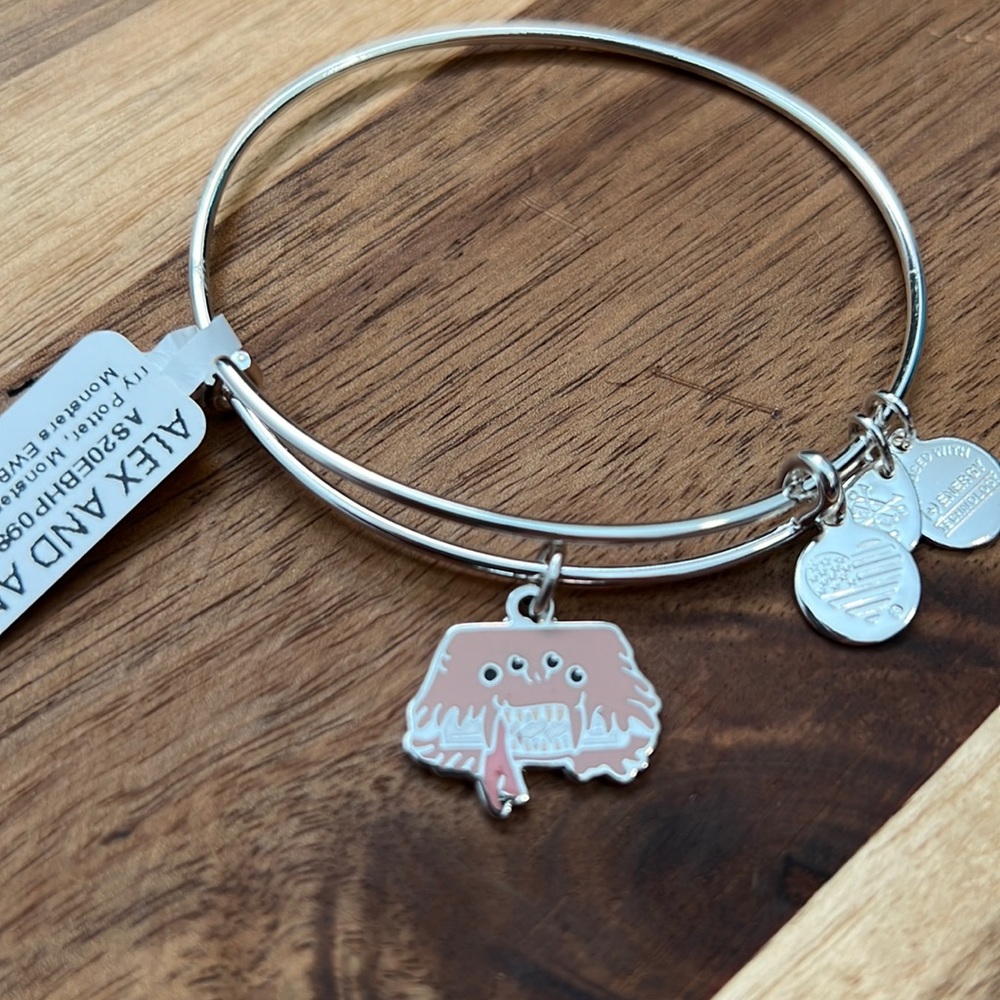 Alex and Ani Harry Potter bracelet in a shiny silver finish.